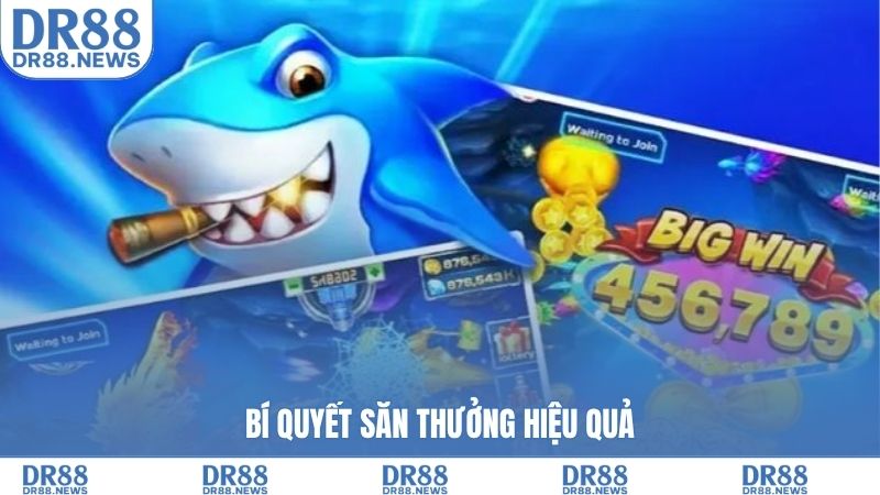 Bí quyết săn thưởng hiệu quả
