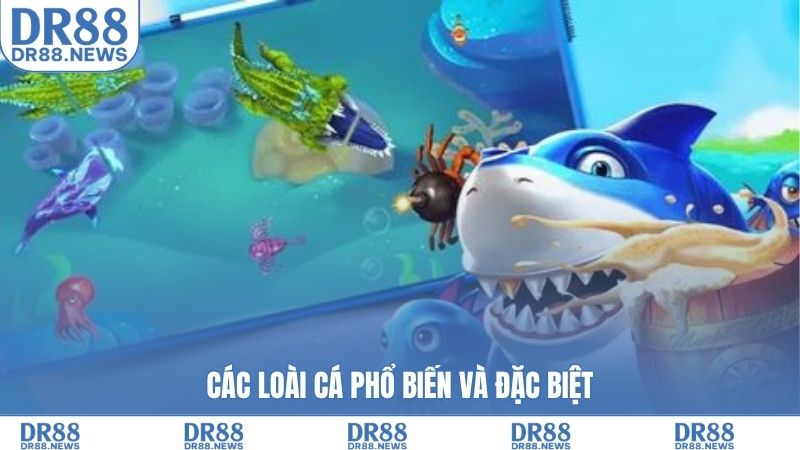 Các loài cá phổ biến và đặc biệt