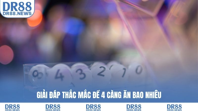 Giải đáp thắc mắc đề 4 càng ăn bao nhiêu