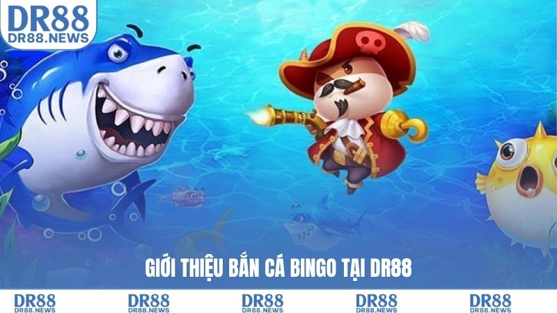 Giới thiệu bắn cá BINGO tại DR88