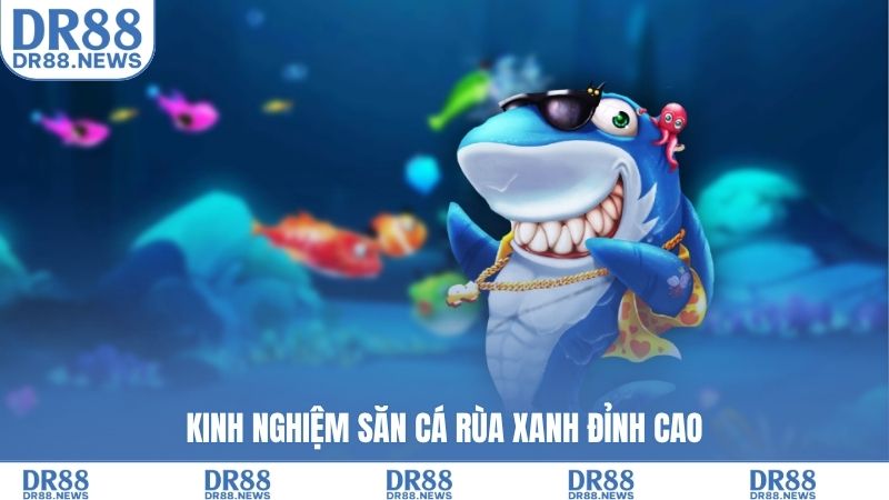 Kinh nghiệm săn cá rùa xanh đỉnh cao