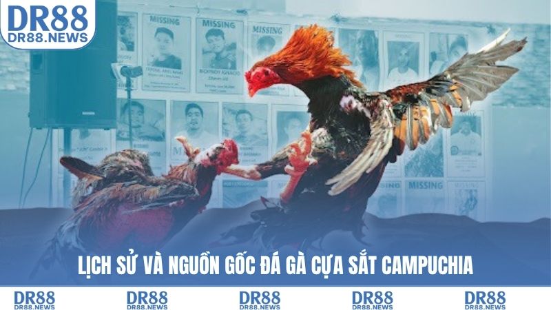 Lịch sử và nguồn gốc đá gà cựa sắt Campuchia