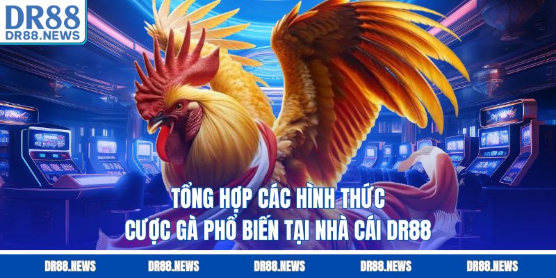Tổng hợp các hình thức cược gà phổ biến tại nhà cái DR88